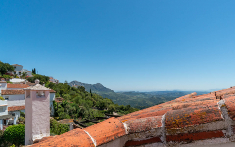 Views from top terrace